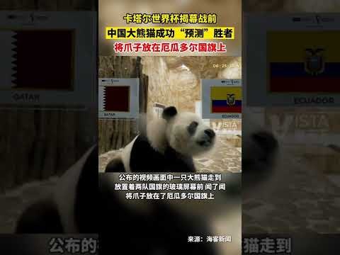 大宝雨夜长,沙双响获国,足盛赞,pa真人,国际官网,pa真人官网,PlayAce