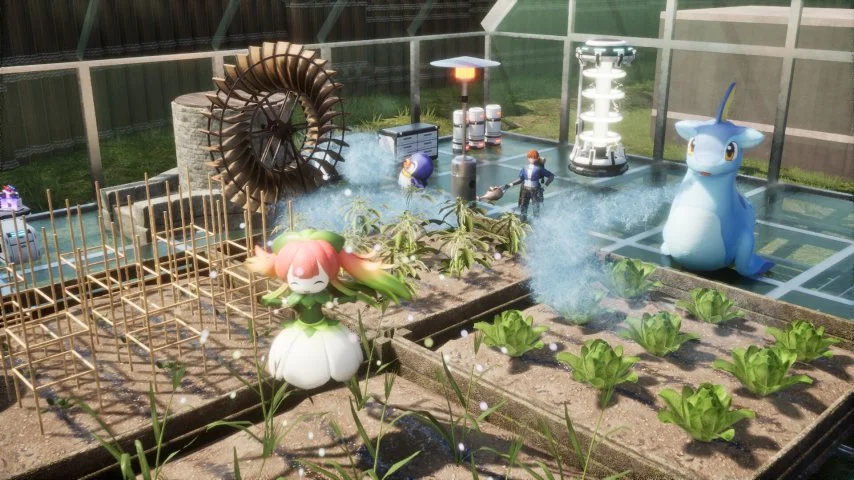 独行侠连败,分析,专家解读大,pa真人,国际官网,pa真人官网,PlayAce