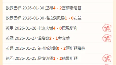 杨佳敏丹麦羽球公开赛止步八强