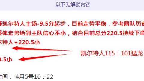 独行侠败北湖人，东契奇揽三双詹皇欧文齐发威